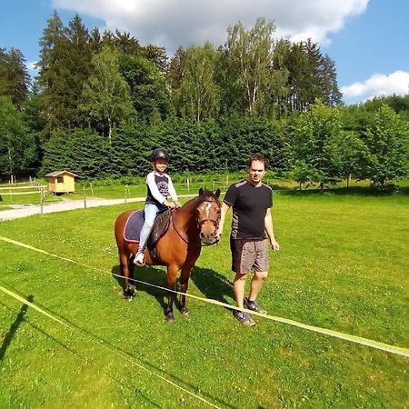 Pensjonat Ferienbauernhof Mehlbach Kollnburg Zewnętrze zdjęcie