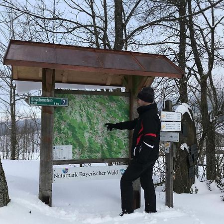 Pensjonat Ferienbauernhof Mehlbach Kollnburg Zewnętrze zdjęcie