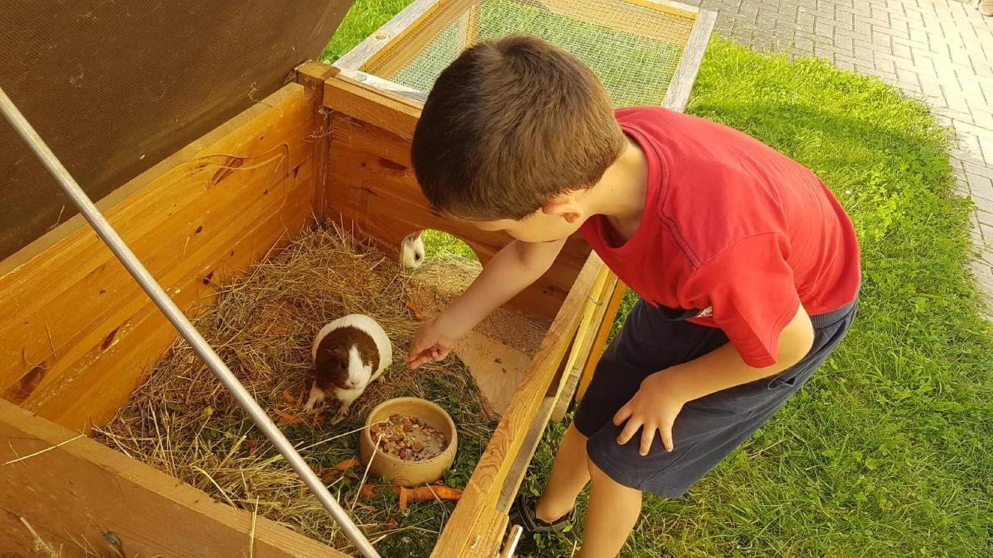 Pensjonat Ferienbauernhof Mehlbach Kollnburg Zewnętrze zdjęcie