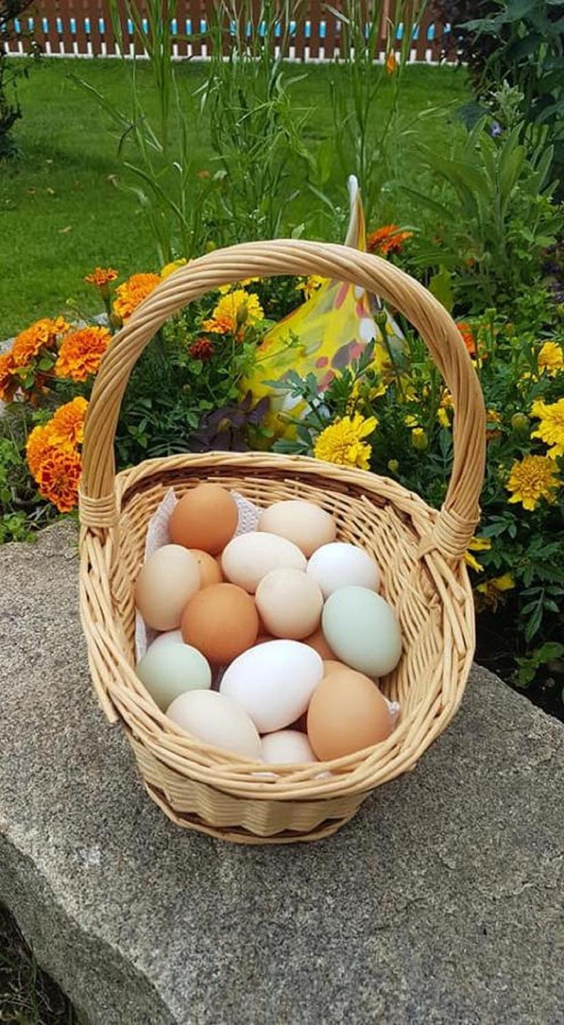 Pensjonat Ferienbauernhof Mehlbach Kollnburg Zewnętrze zdjęcie