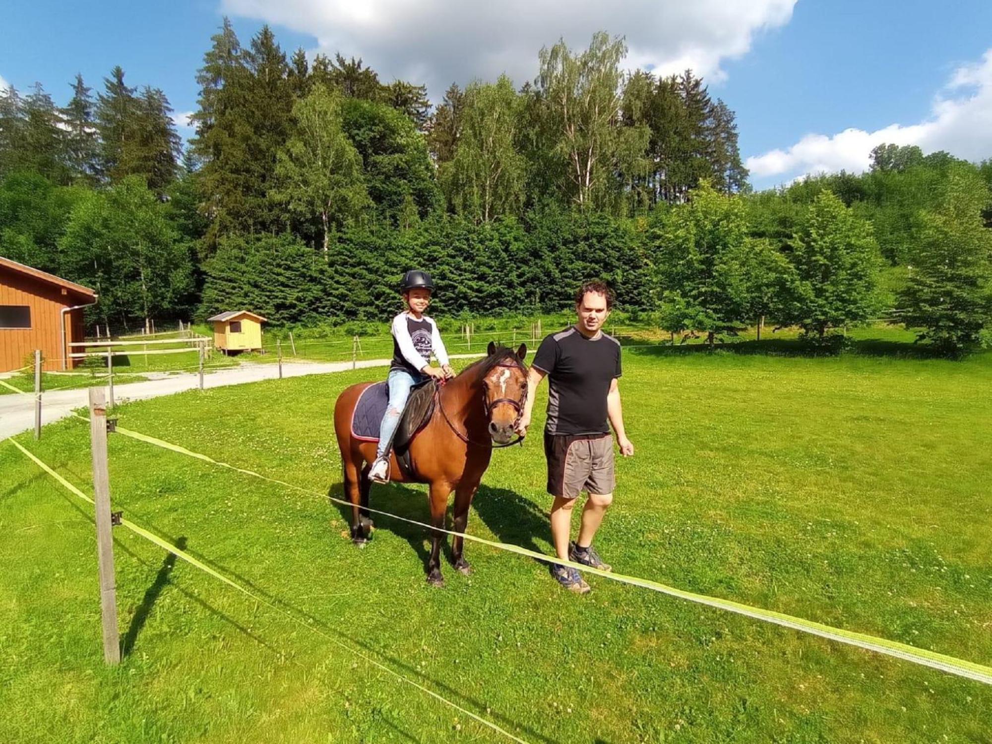 Pensjonat Ferienbauernhof Mehlbach Kollnburg Zewnętrze zdjęcie