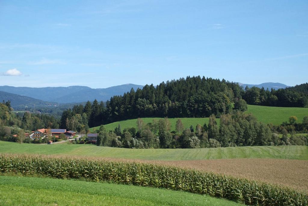 Pensjonat Ferienbauernhof Mehlbach Kollnburg Zewnętrze zdjęcie